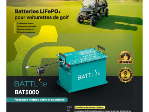 BATTERIE AU LITHIUM BAT5000L