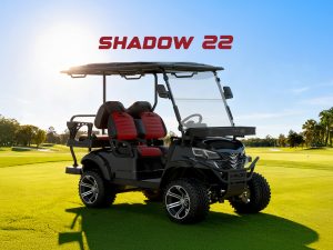 Shadow 22 2026